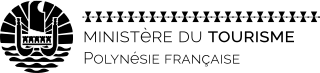 Logo Linea21
